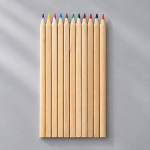 Набор из 12 карандашей Paint