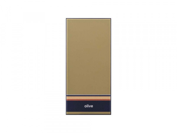 Внешний аккумулятор Rombica NEO ARIA Olive, 10000мАч, Soft-touch, PD, QCharge, Type-C, оливк/синий
