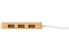 USB хаб с подсветкой лого Reedia S5, 3*USB, 1*Type C, бамбук, черный